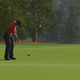 Image for article titled Tiger Woods 13 Sounds Like It's Adding Celebrities to the Roster
